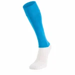 Wicked HC Socks